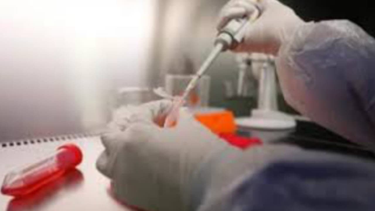 nothing fear about china pneumonia