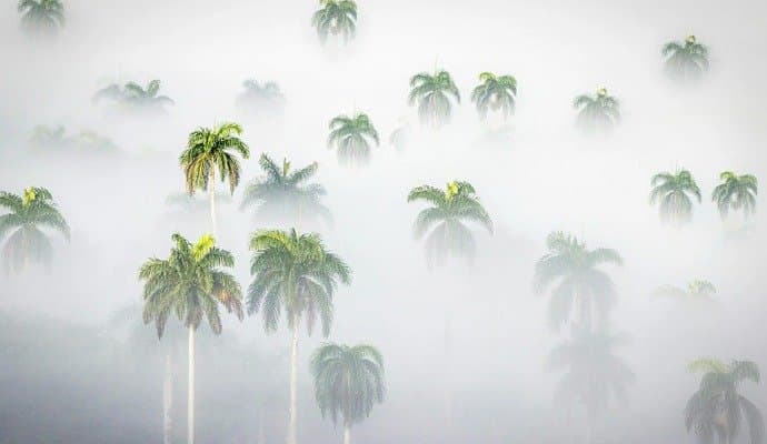 This Place In Tamil Nadu Is Freezing At Near Zero Degrees