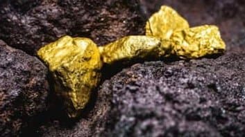 Massive Gold Reserve Found in Odisha