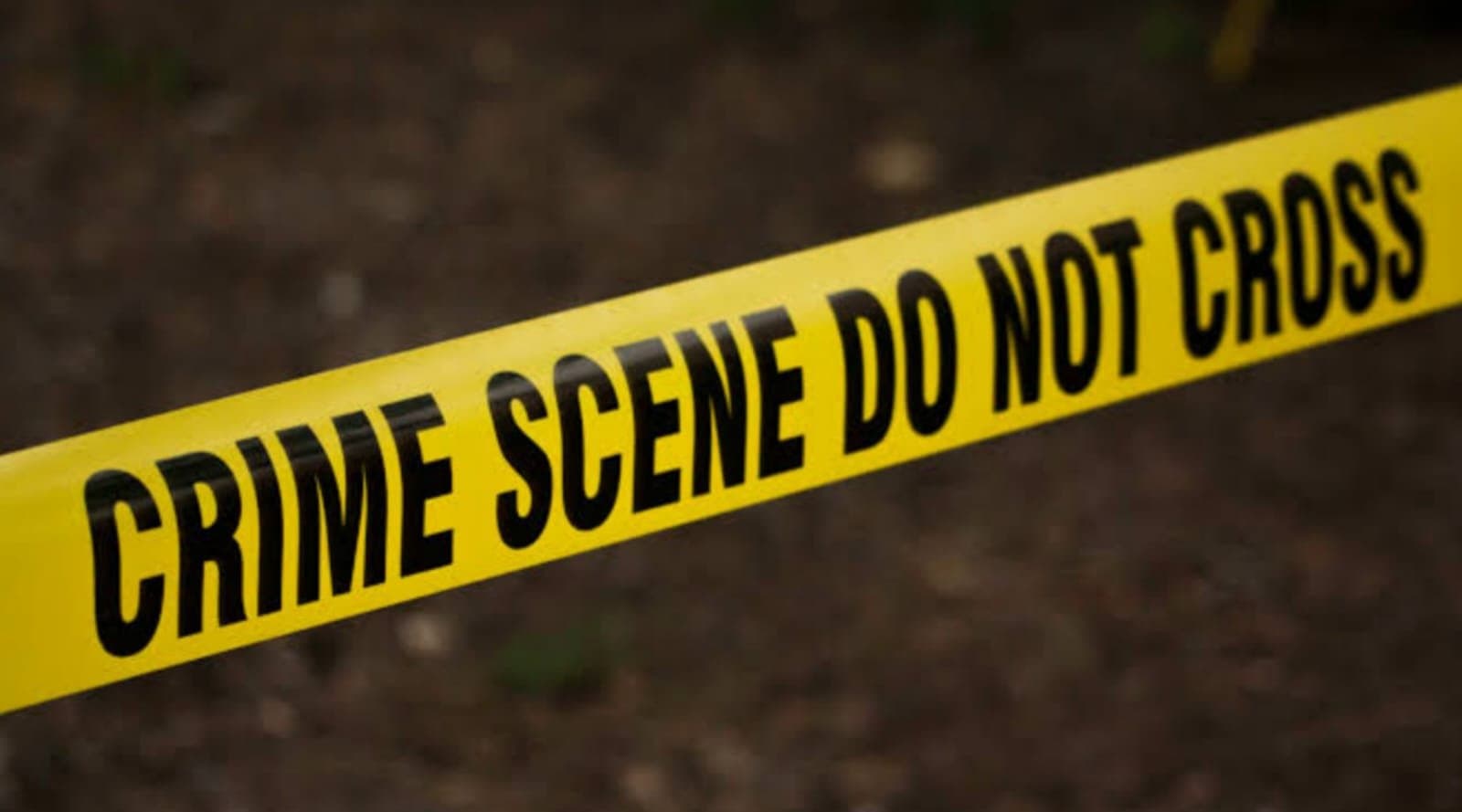 Jharkhand teen stabs father to death
