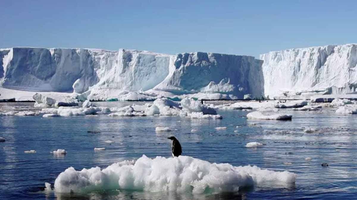 Antarctic ice loss will be rapid & irreversible from 2100, these indian cities likely to go underwater gnr