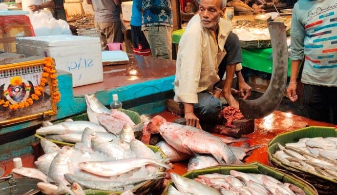 hilsa rate high at manicktala bazaar