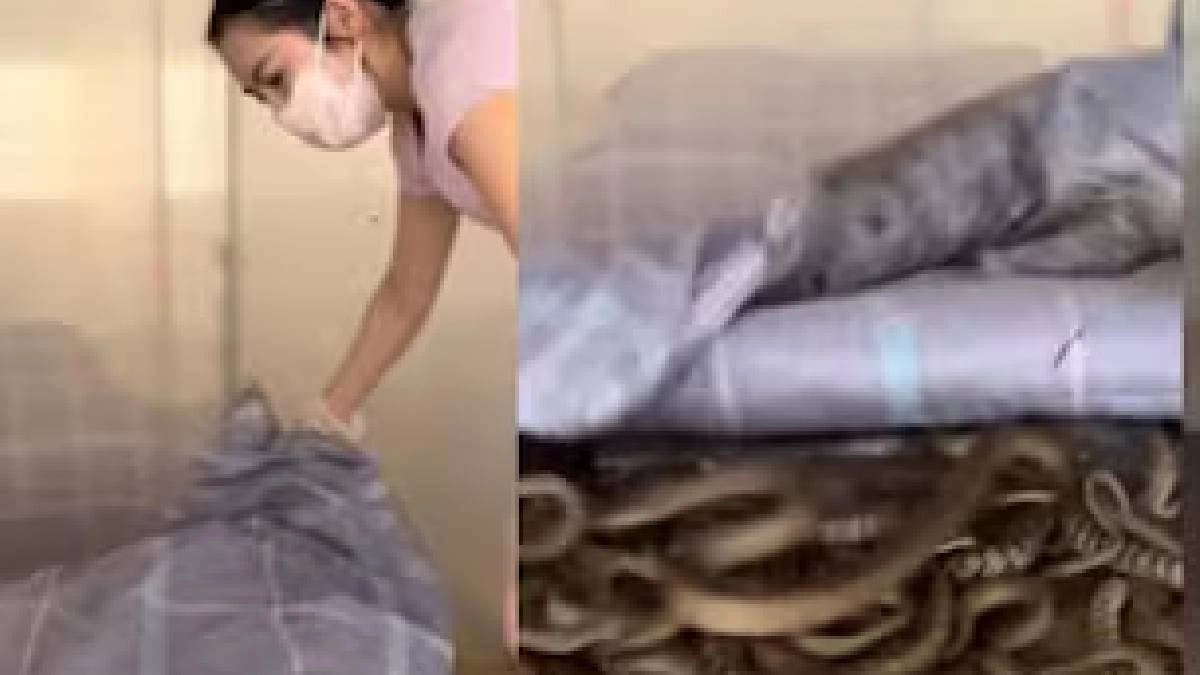 Girl Using Bedroom For Snake Farming