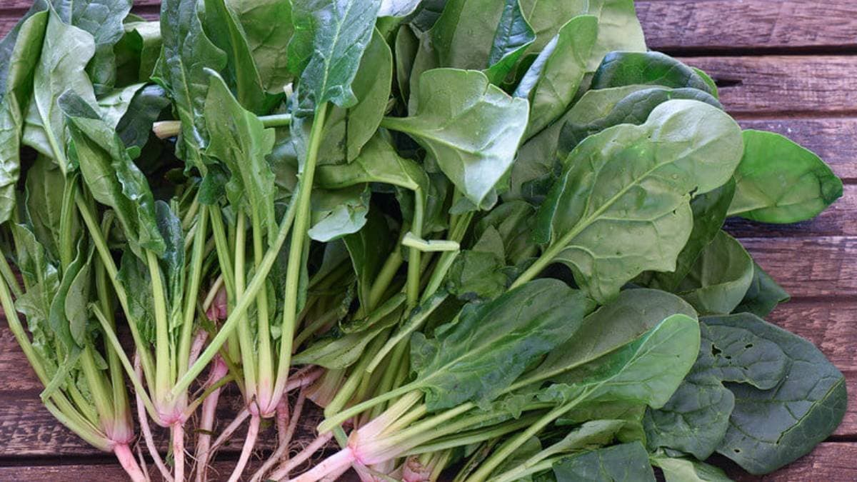 Health benefits of consuming spinach everyday