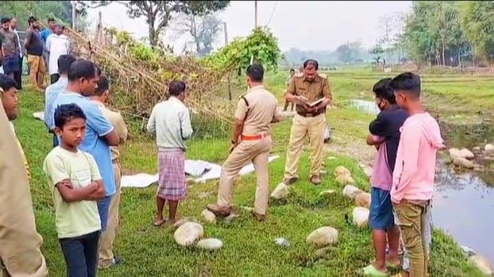 85 year old woman killed in elephant attack