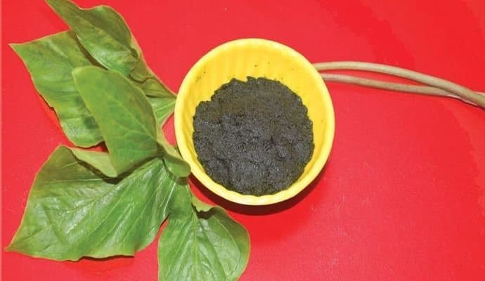 Know the health benefits of various leaves to reduce pain