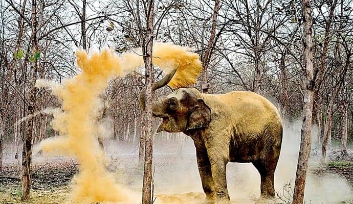 World's Largest Wildlife Rescue Center