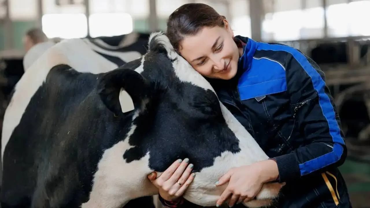 Representational Image