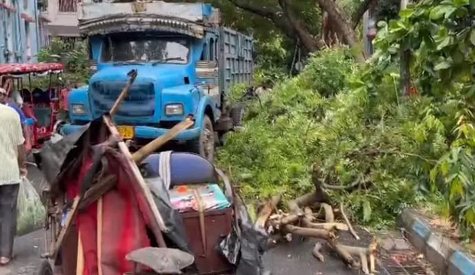 Tree falls on rickshaw during rain at Golfgreen