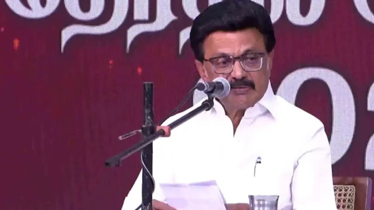 Stalin Sets His Sights on the Womens Vote to Cross the Electoral Hurdle Key Announcements in the Manifesto