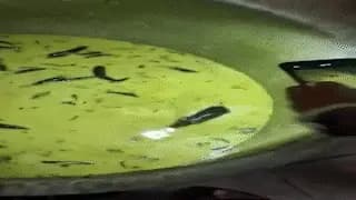Hyderabad students find rat swimming in chutney served at university mess