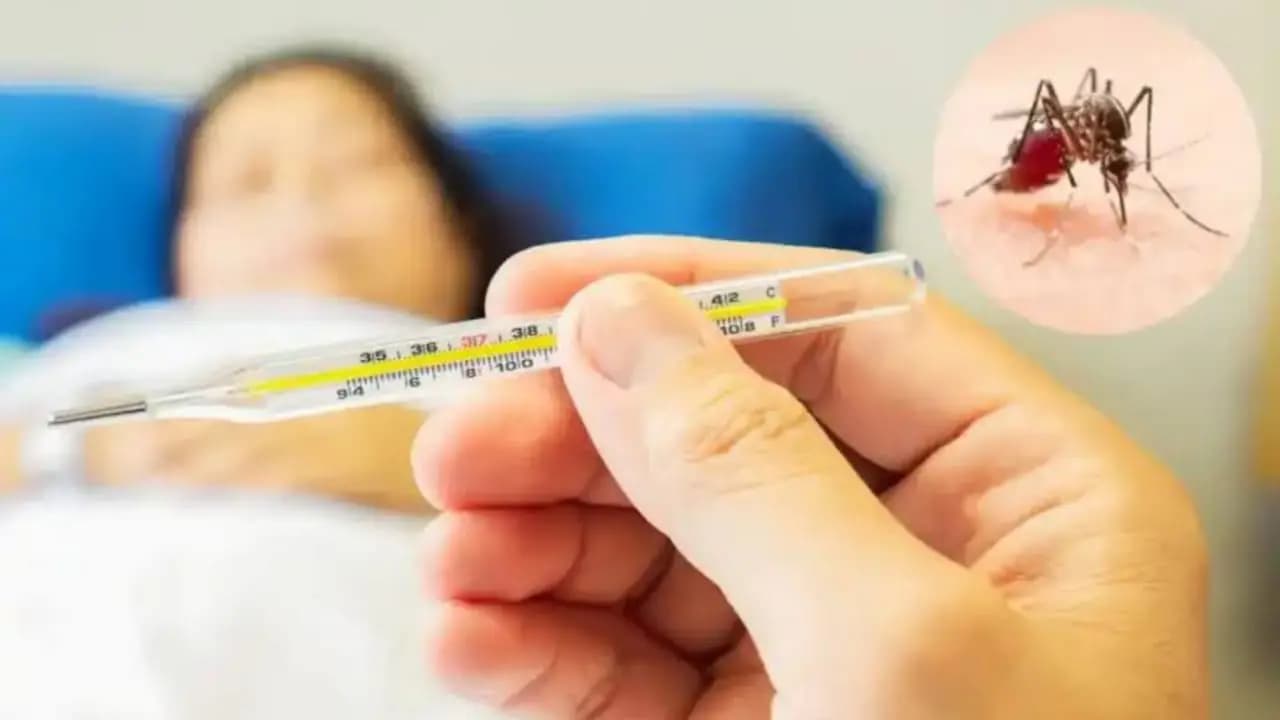 One dead by dengue in West Bengal