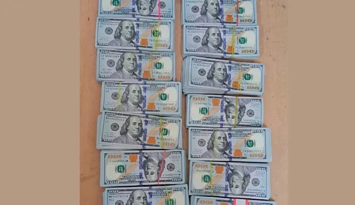 BSF thwarts foreign currency smuggling attempt