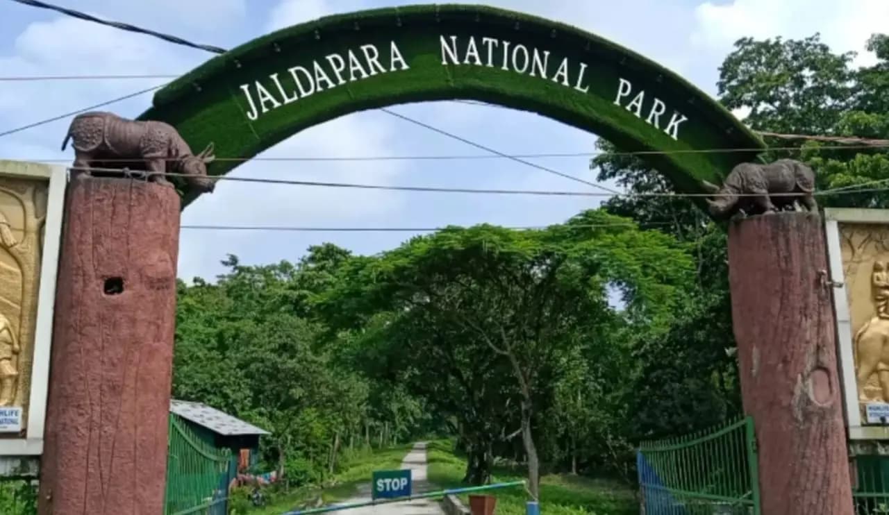 Elephant killed one person in aliporeduar