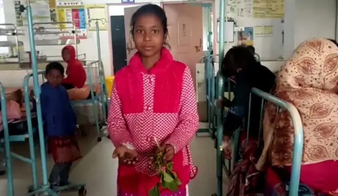eat poisonous fruit, 11 child hospitalised