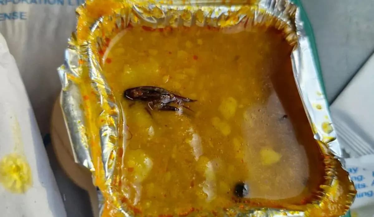 Cockroach Found In Meal Served In Vande Bharat Train