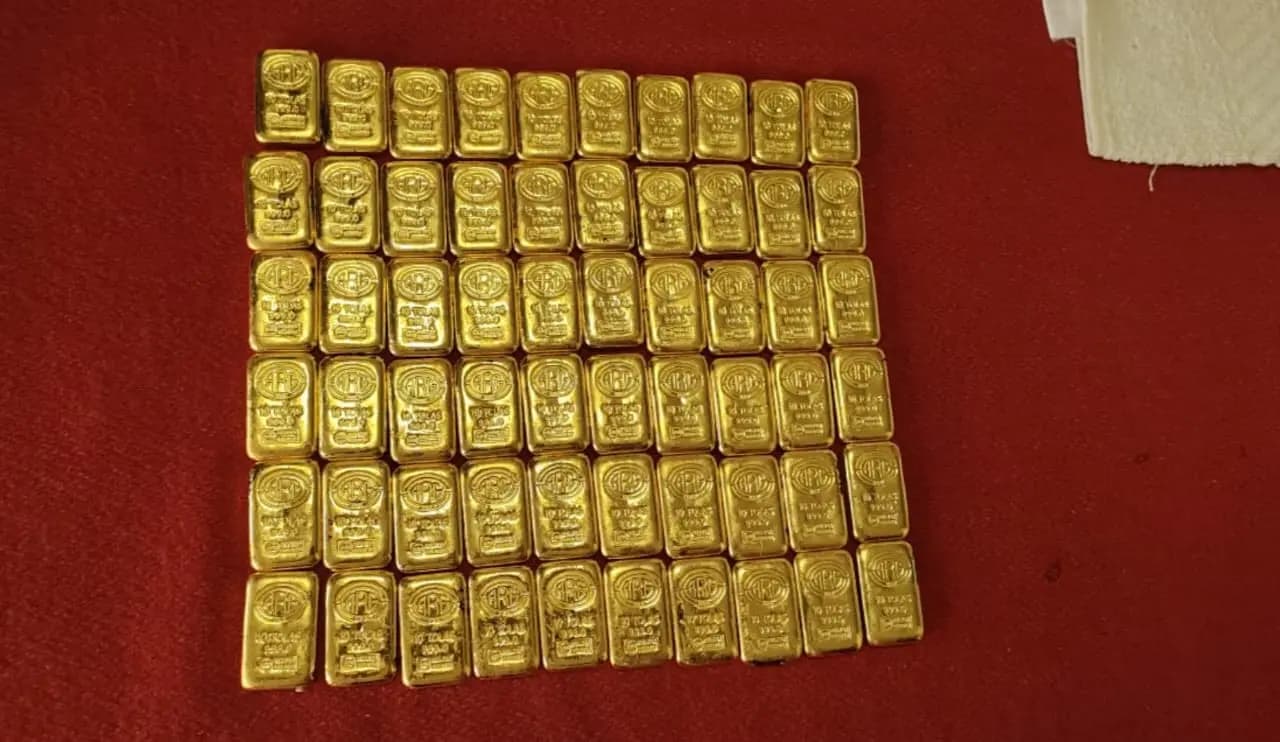 BSF SEIZE GOLD
