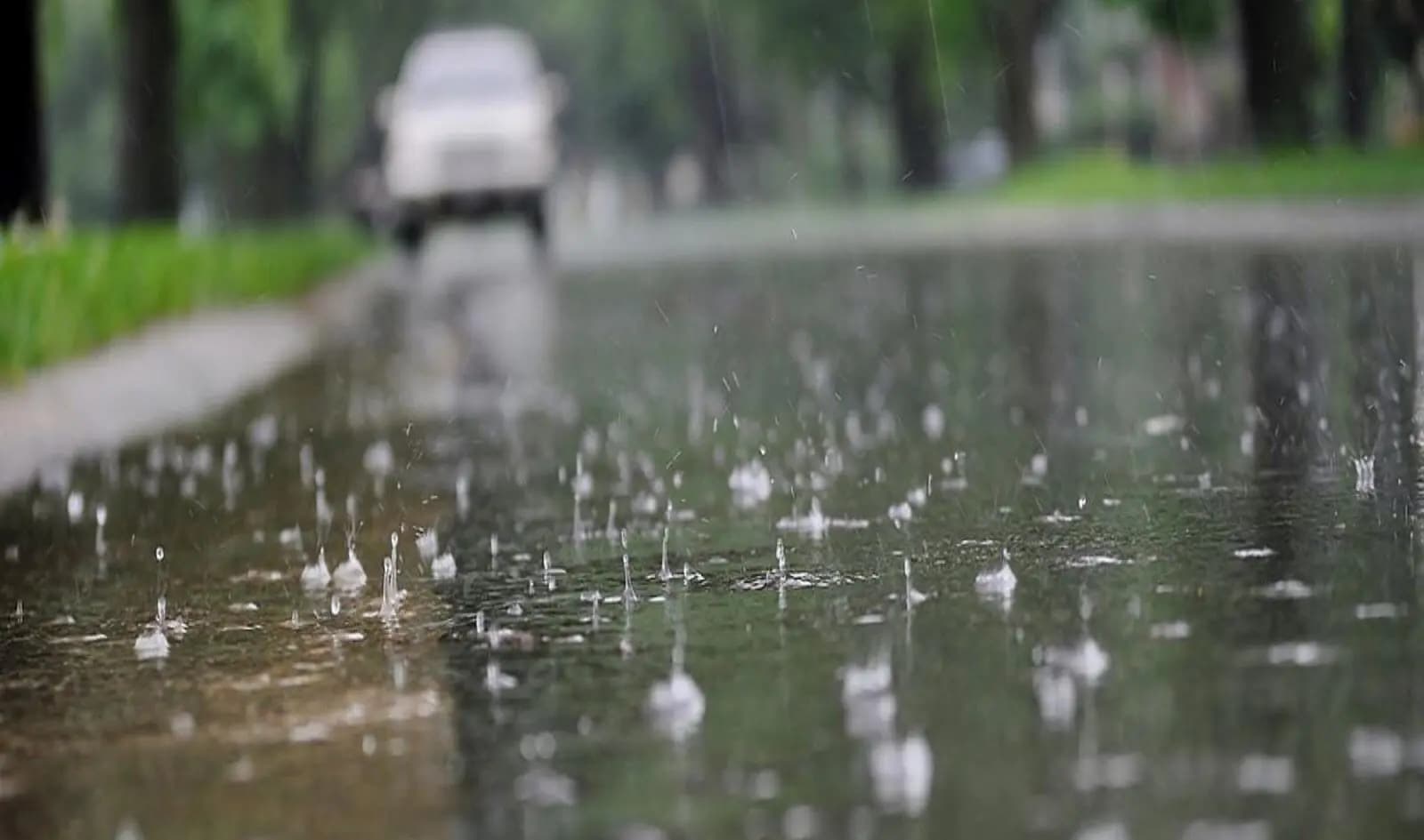 Rainfall across Bengal this week, weather change expected today
