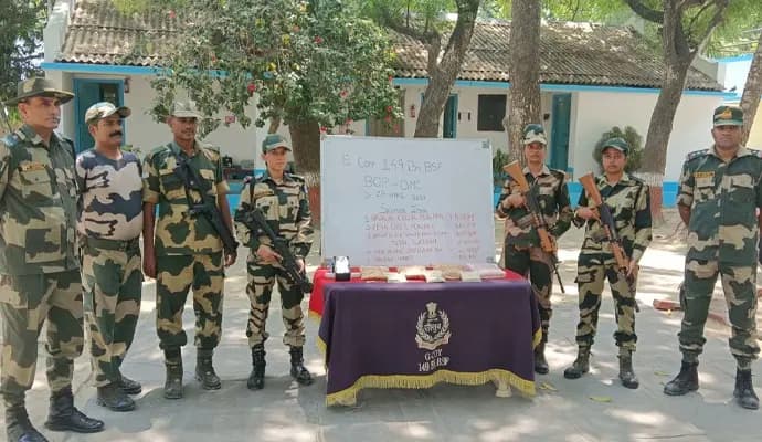 drugs rescued by bsf