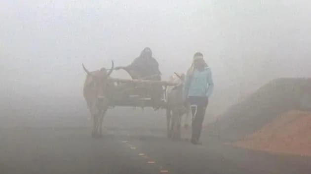 Cold wave intensifies as mercury dips again in Kolkata