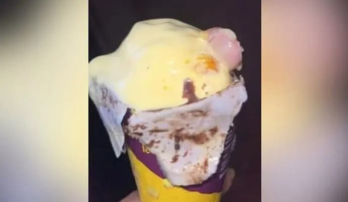 Mumbai Woman Orders Ice Cream, Finds Human Finger Inside