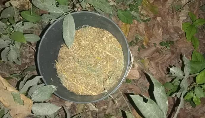 Bomb recovered from various places of murshidabad