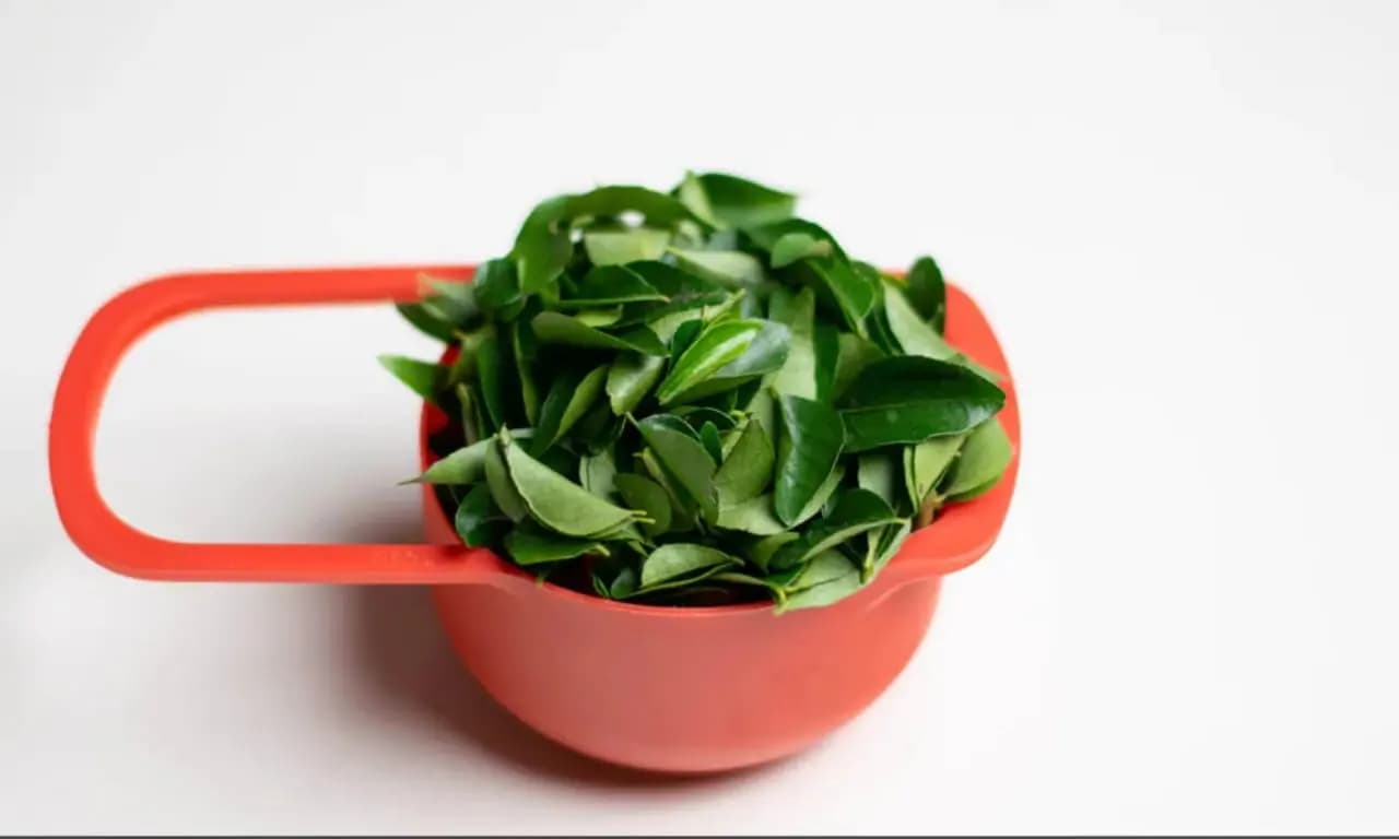 Know how curry leaves can give you good health