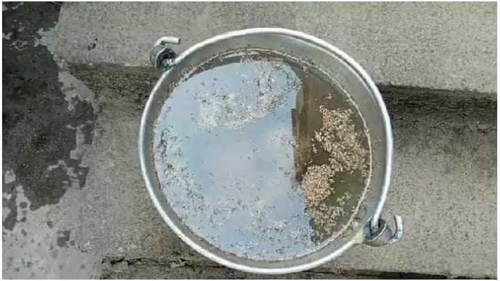 Bombs rescued from raghunathganj, one detained