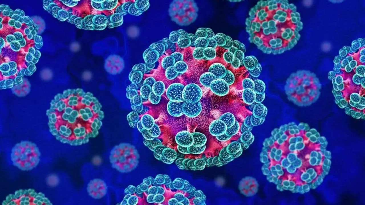 Does Breast Milk Cure Hantavirus Know the actual truth of Viral Social Media Claim