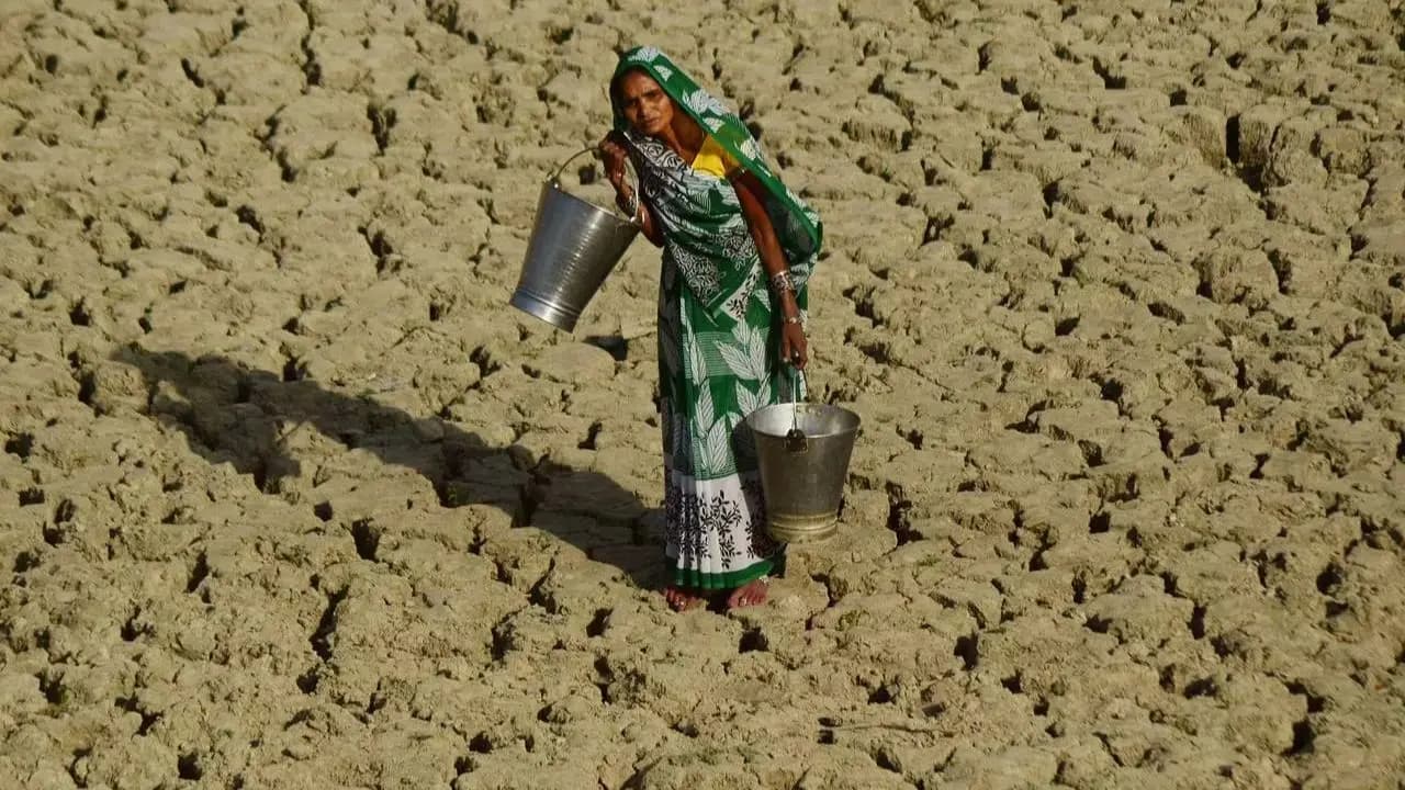 Indias hottest district shuts at 10am as mercury breaches 48 degrees Celsius mark
