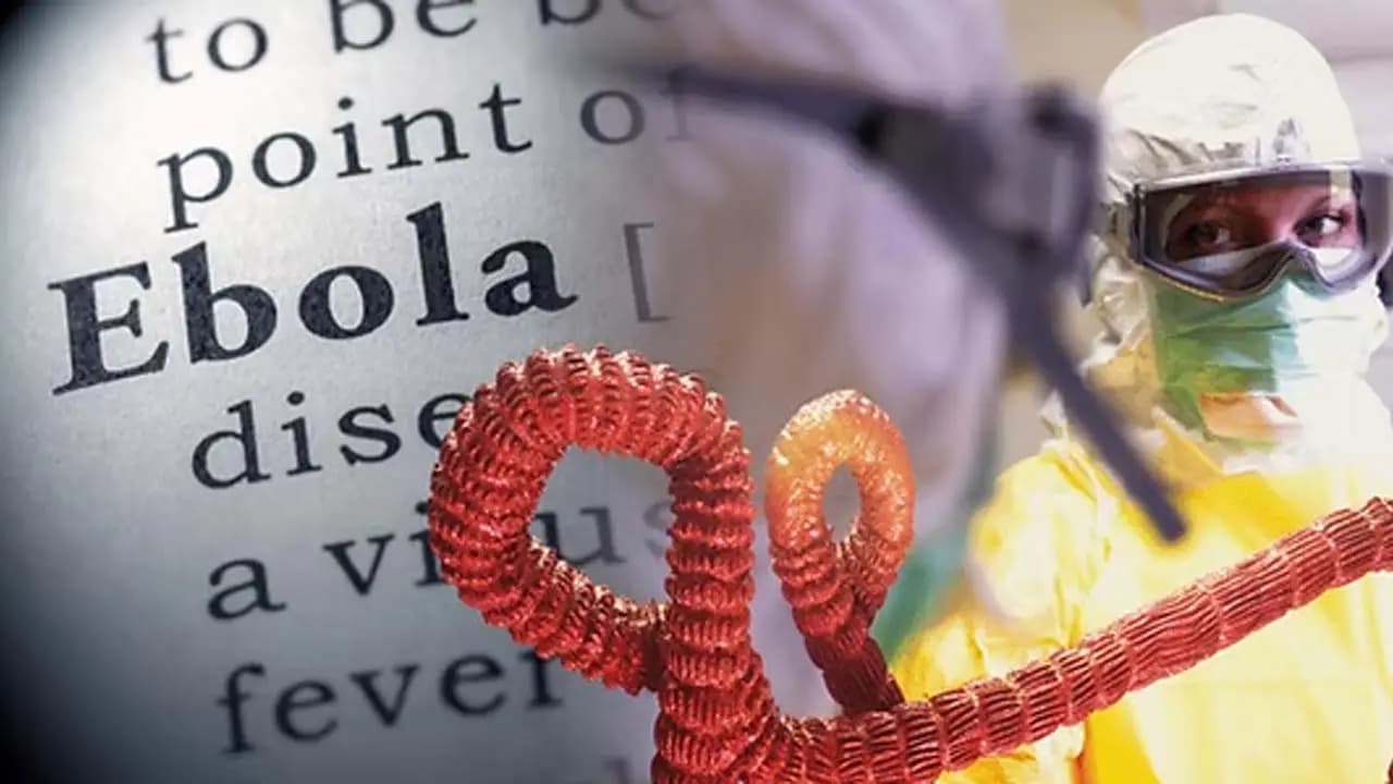 Ebola
