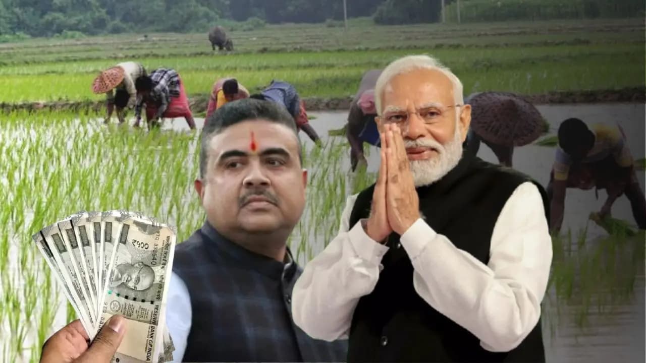 PM Kisan beneficiary status