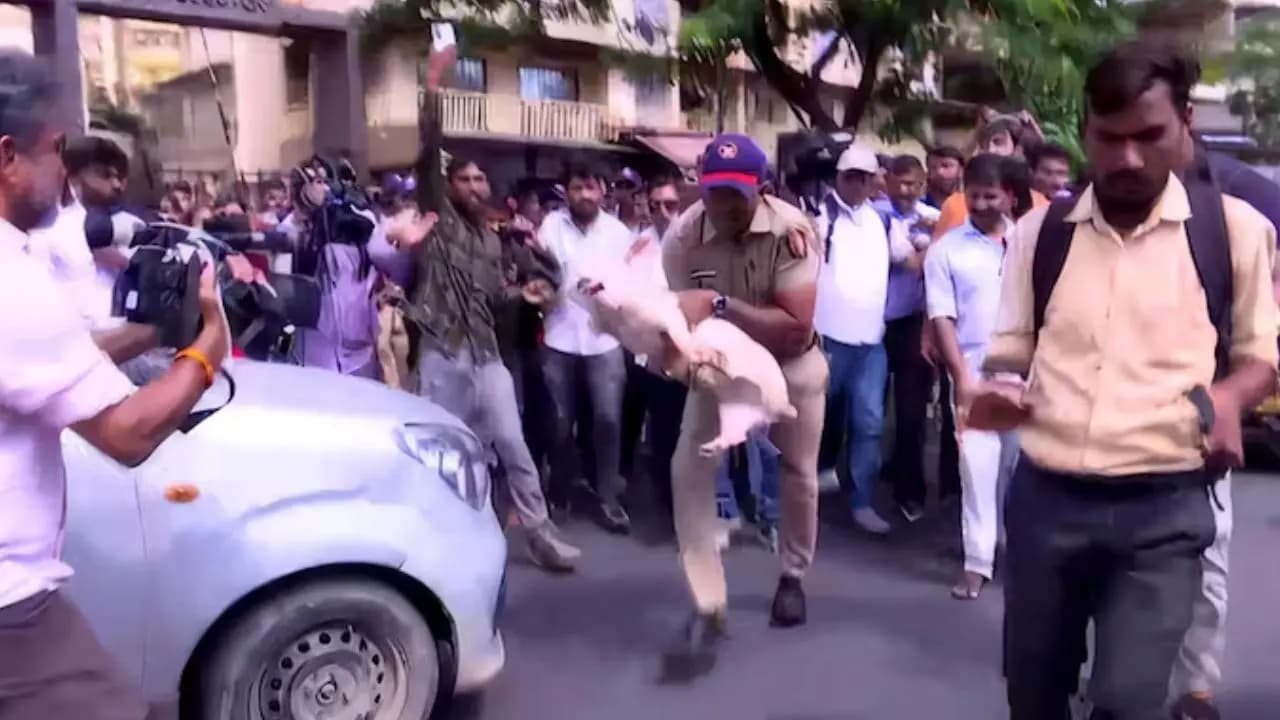 Eid sacrifice clash on goat vs pig sparks tensions in mumbai thaney