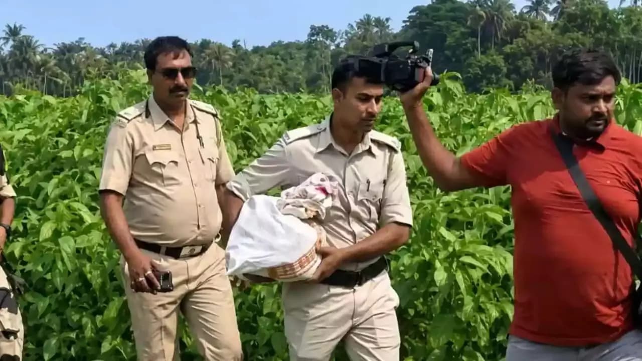 Baduria Cash Incident: how much money police recovered from TMC leader s jute field