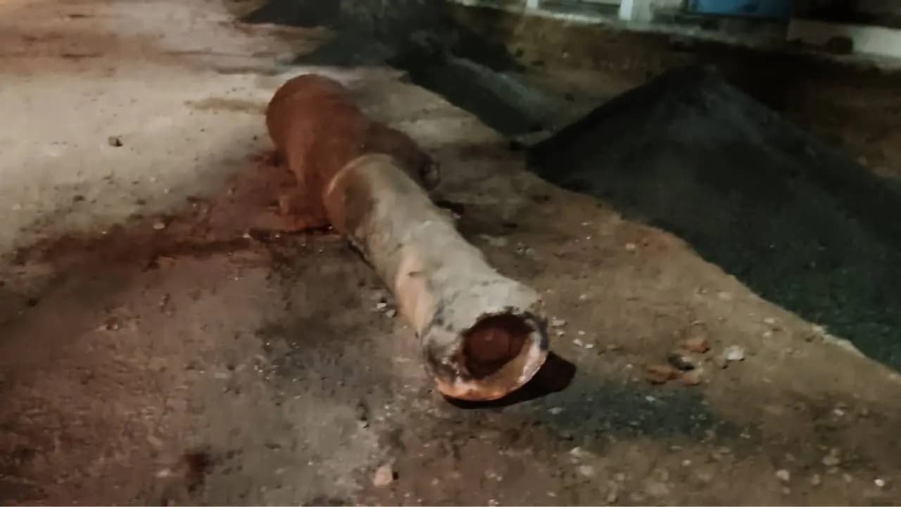 Seven foot Nawabi cannon recovered in Baharampur
