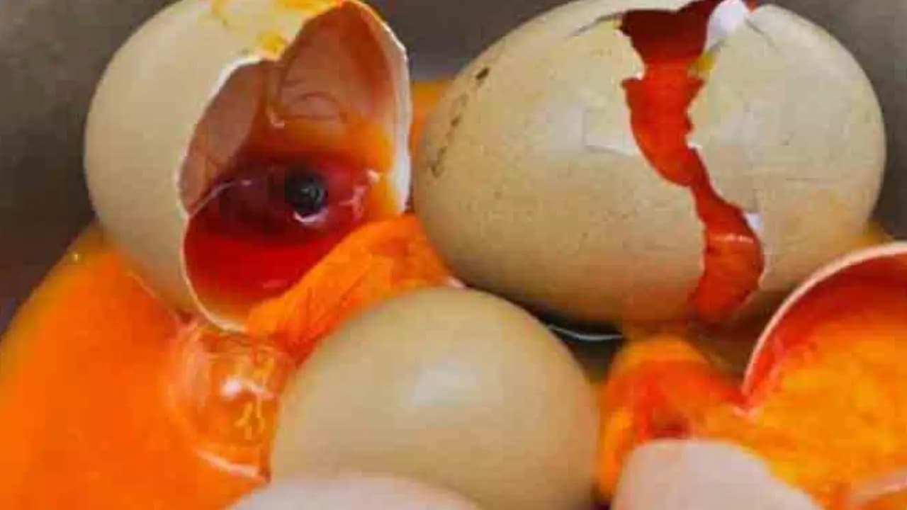 unknown facts about rotten eggs