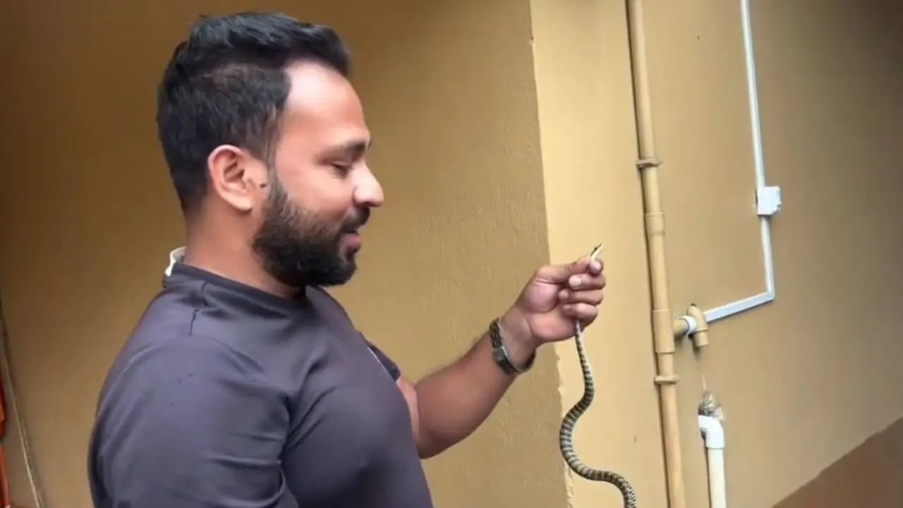Snake rescued from the residence of forest minister