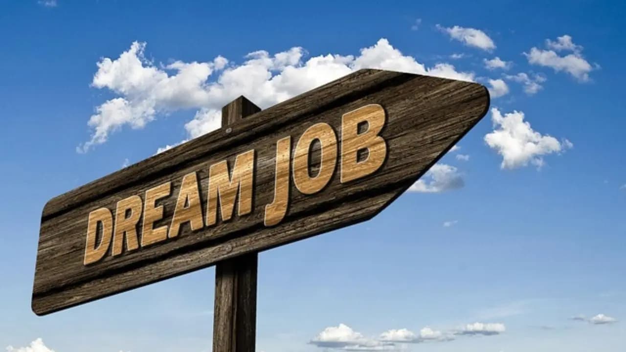 career opportunity