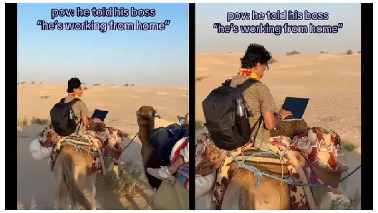 Viral News: Corporate Employee Caught Doing A Zoom Call On A Camel In Sahara Desert