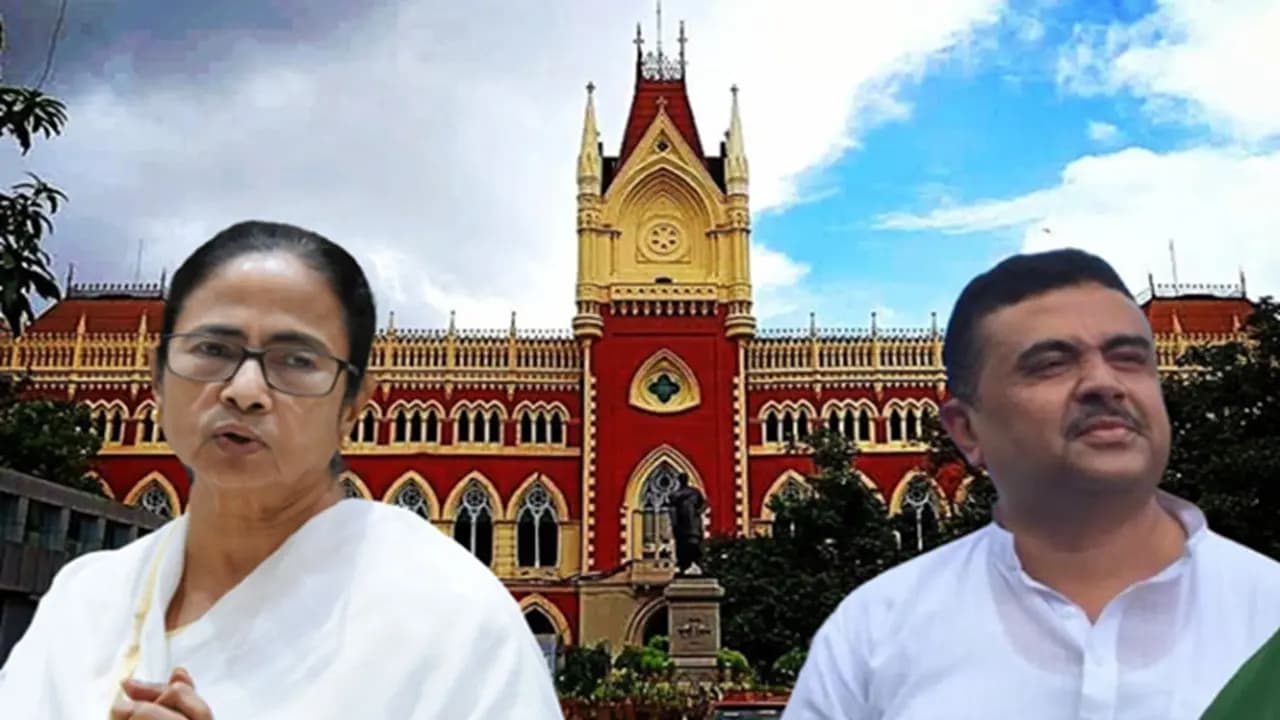 TMC Mamata Banerjee Big Update: tmc supremo reaches high court here the reason