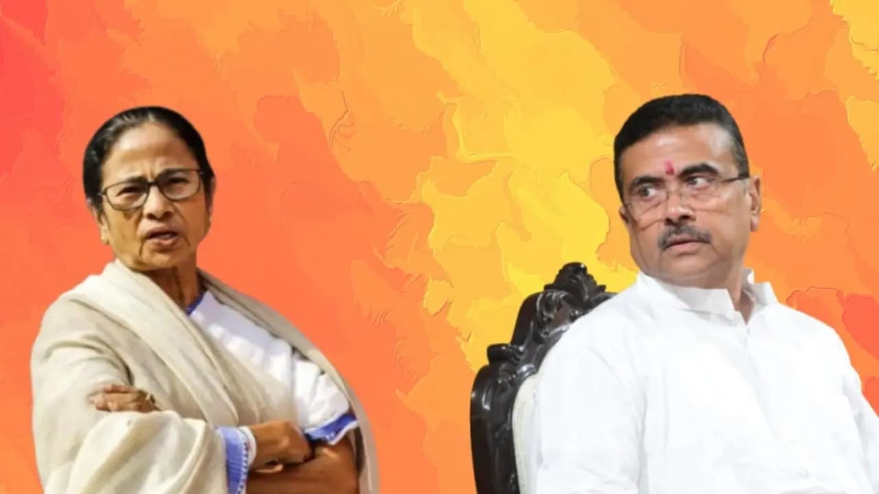 TMC Mamata Banerjee Big Update: tmc supremo reaches high court here the reason