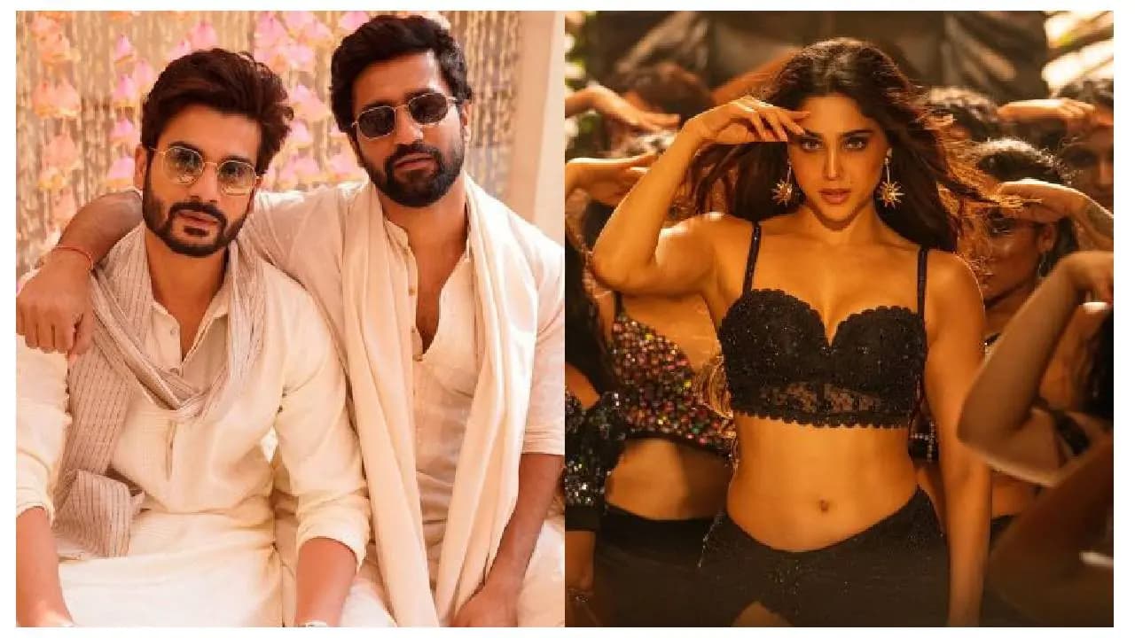 Reason Behind Sharvari Wagh And Sunny Kaushal Reportedly Ended Their Relationship
