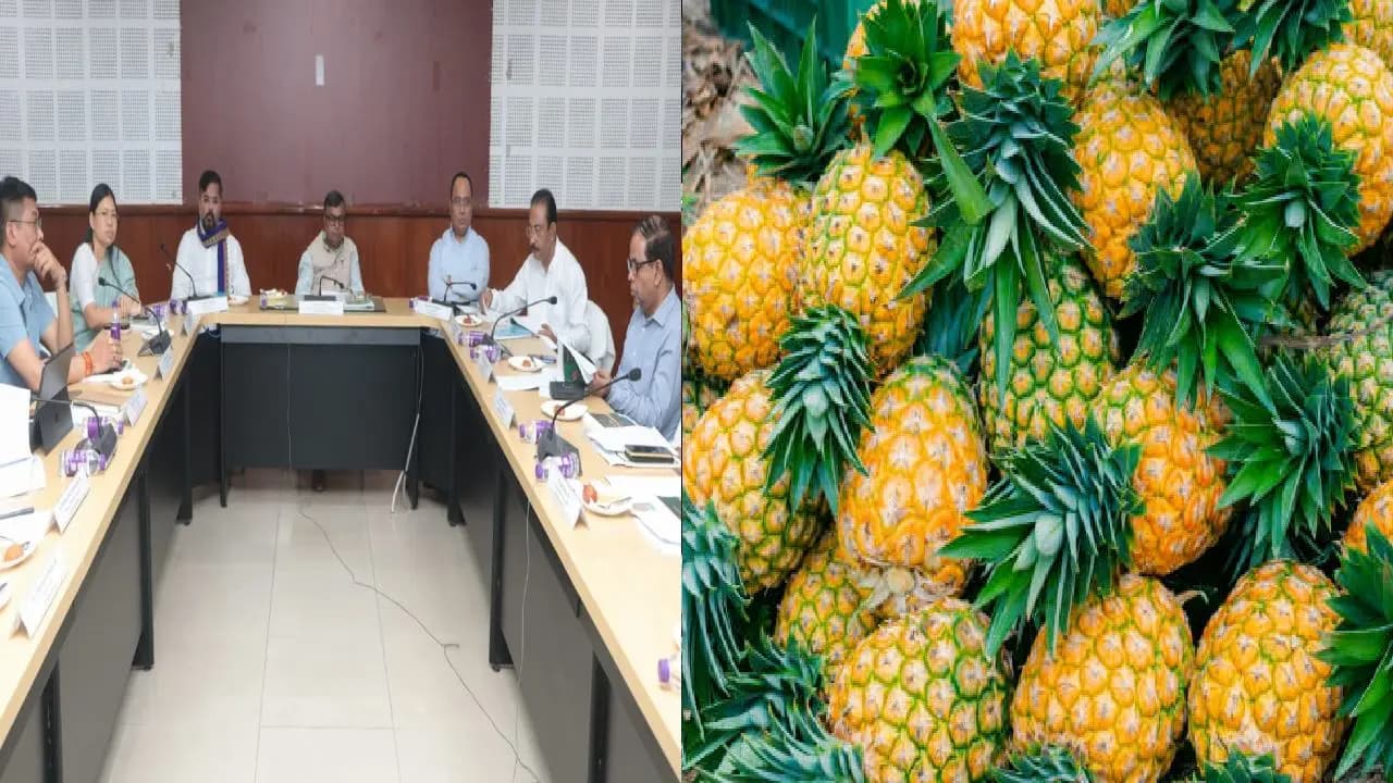 farmers and Festival big update: Tripura to Showcase Global Pineapple Festival in Delhi