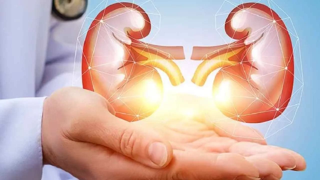 Chronic Kidney Disease: 5 Silent Warning Signs and Symptoms You Should Not Ignore