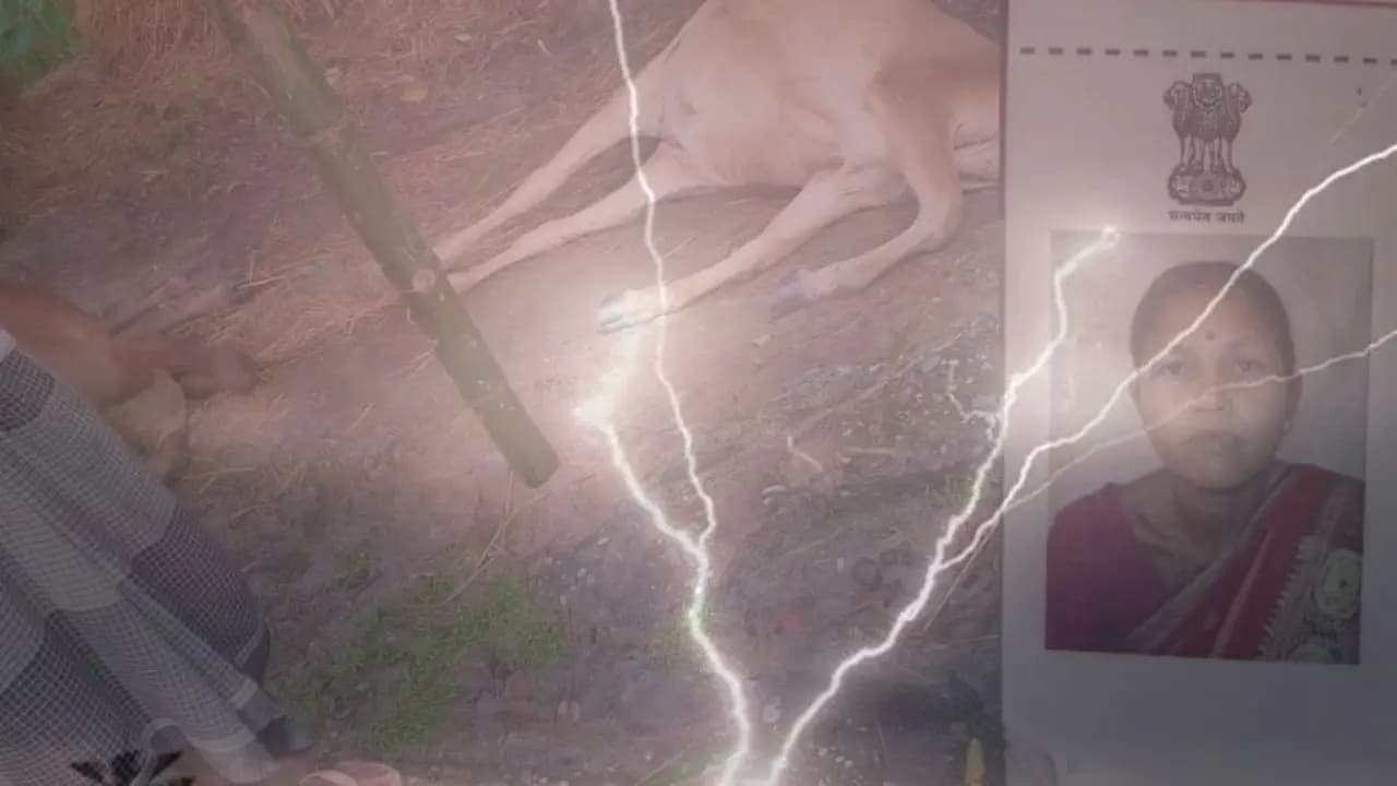 Two died due to lightning strike in Cooch Behar