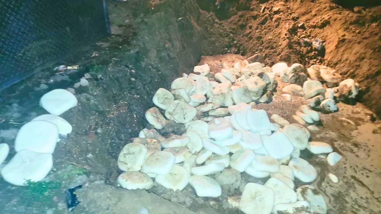 Adulterated Food Seizure by Police: Hyderabad Police seized 122 Tonnes Adulterated and Safe Food in 100 days