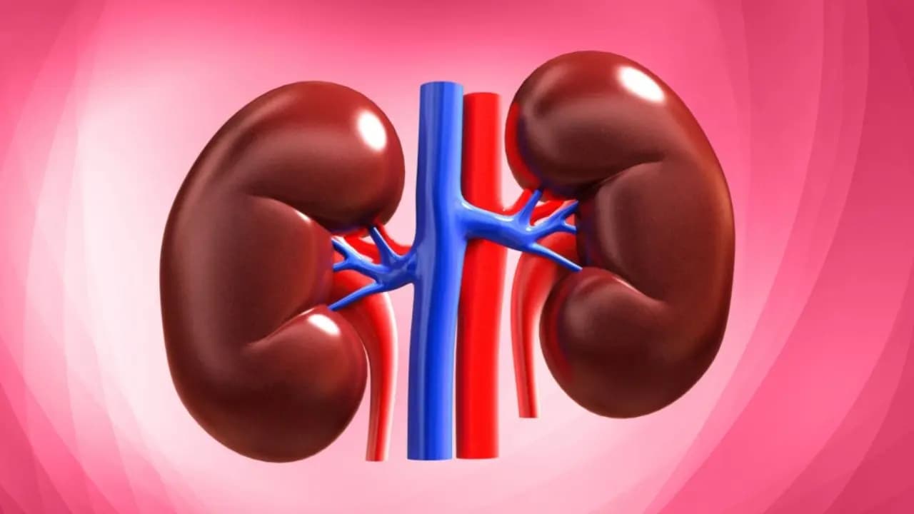 Is Your Urine Color a True Sign of Kidney Health Experts Bust Common Myths and List Essential Tests