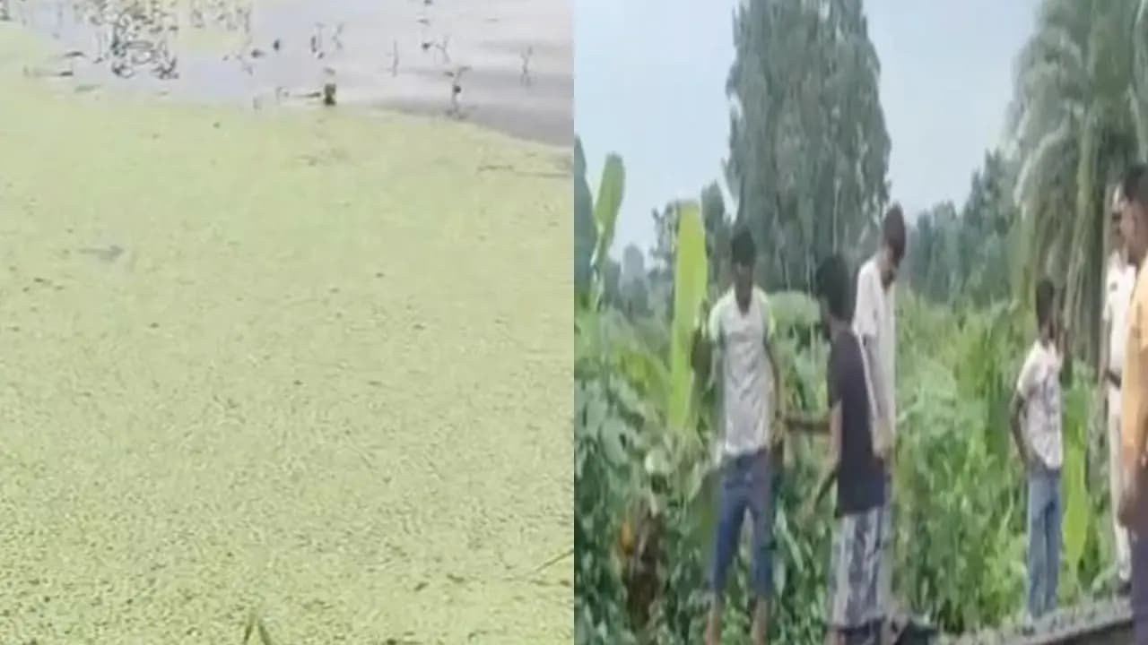 Baruipur Murder case big update unidentified mans decomposed body found at Baruipur same place