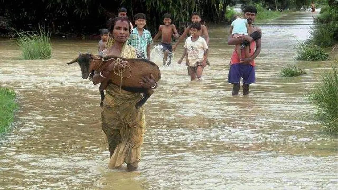 West Bengal School Education Department Big Announcement: School Education Commissioner Orders During Monsoon All Government Schools Will Be Temporary Shelter Due To Flood
