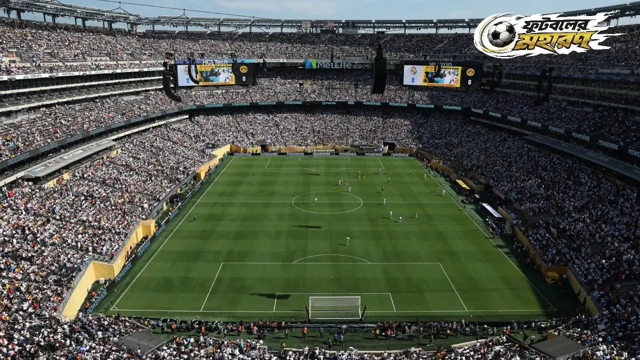 World Cup 2026: FIFA World Cup Final pitch for sale, per piece costs this much
